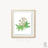 Daisy Fern