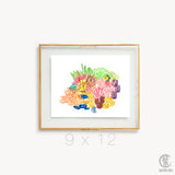 Coral Cluster