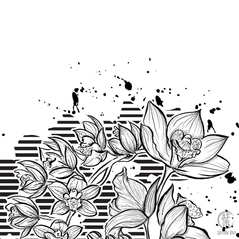 Orchid Splash