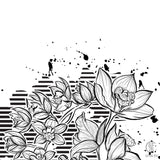 Orchid Splash
