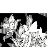 Stargazer Block