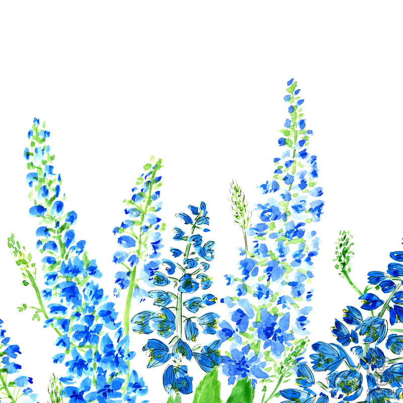 Delphinium Field