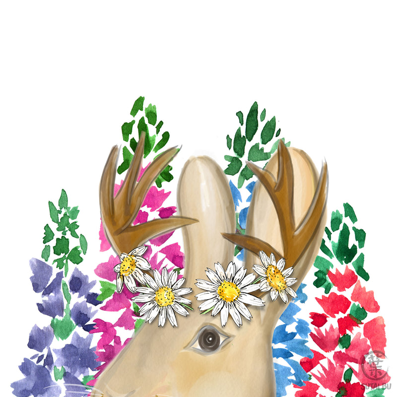 Wild Jackalope