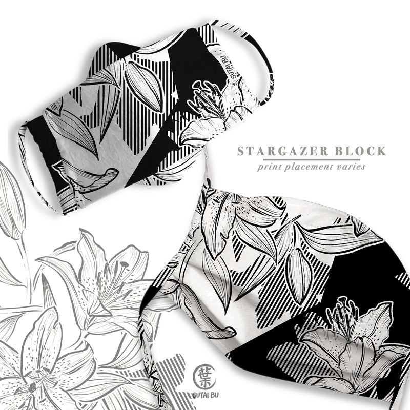 Stargazer Block